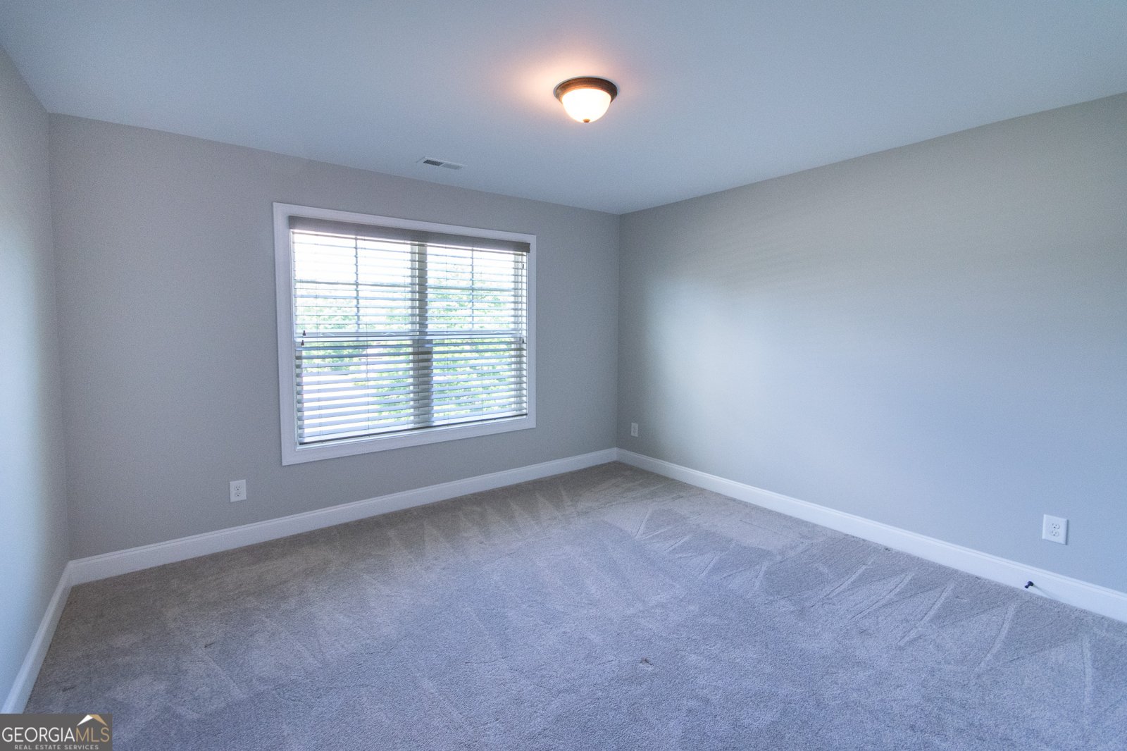 267 Palomino Drive Newnan - 38