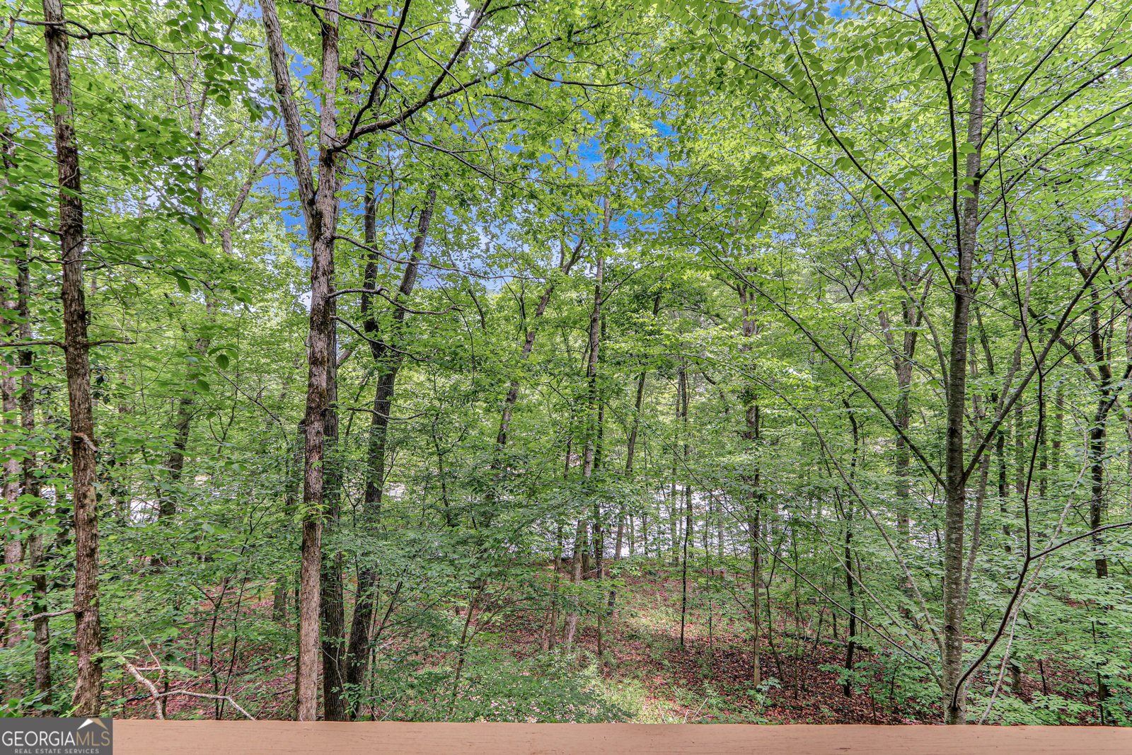 725 Old H Kinsey Wagon Road Cleveland - 12