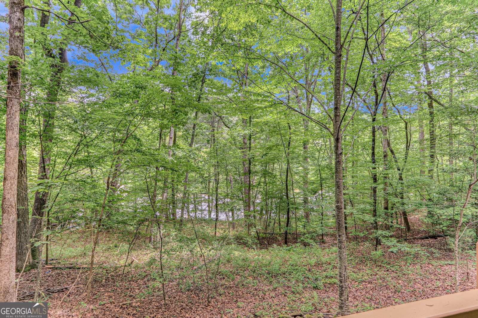 725 Old H Kinsey Wagon Road Cleveland - 34