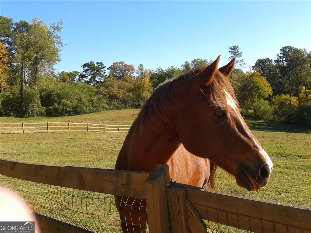 1096 Sutton Mill Road Clarkesville - 2
