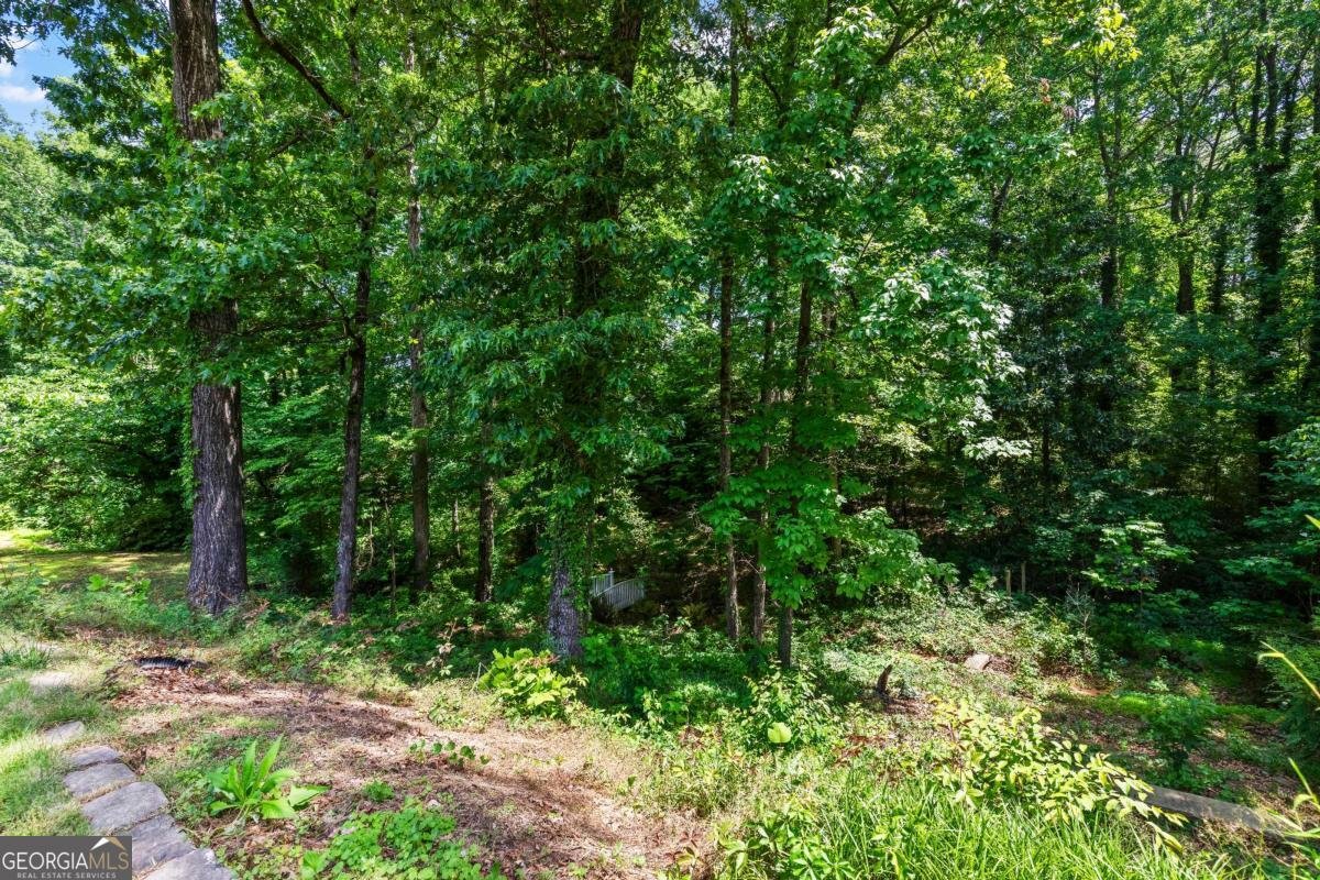 3441 Sherrod Drive Marietta - 51