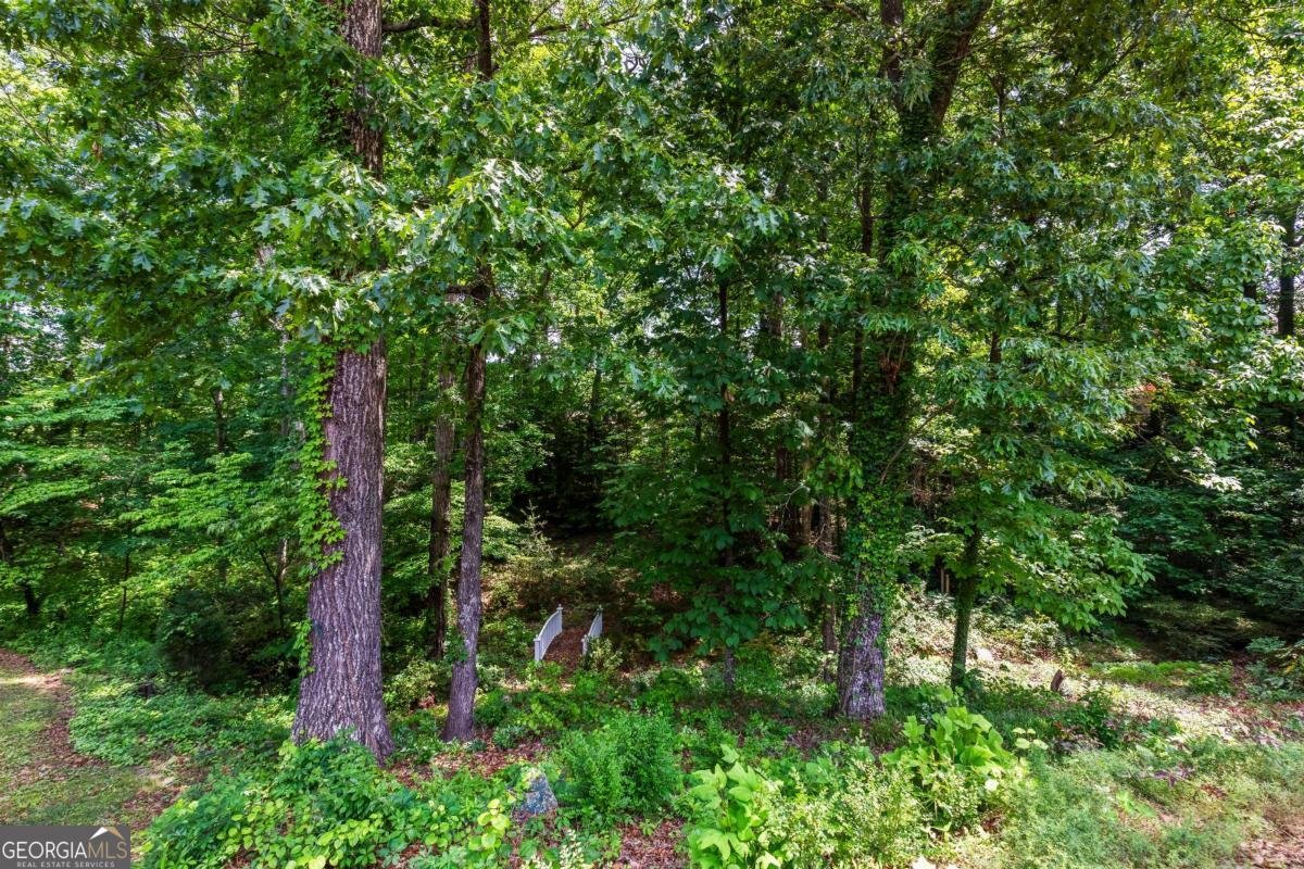 3441 Sherrod Drive Marietta - 52