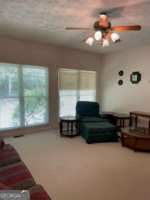 629 Camp Branch Road Ellijay - 9