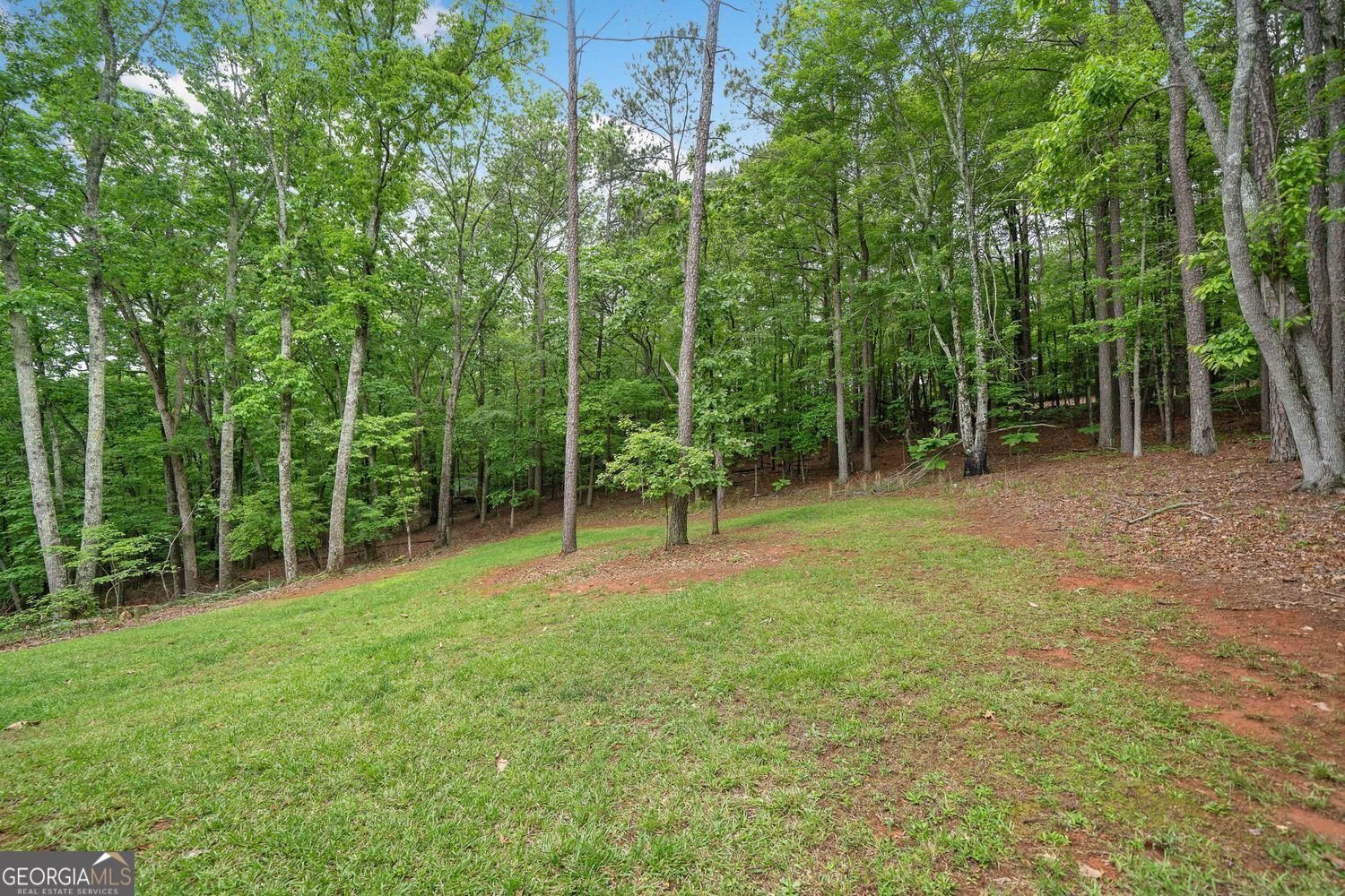 210 Joe Green Lane Canton - 35