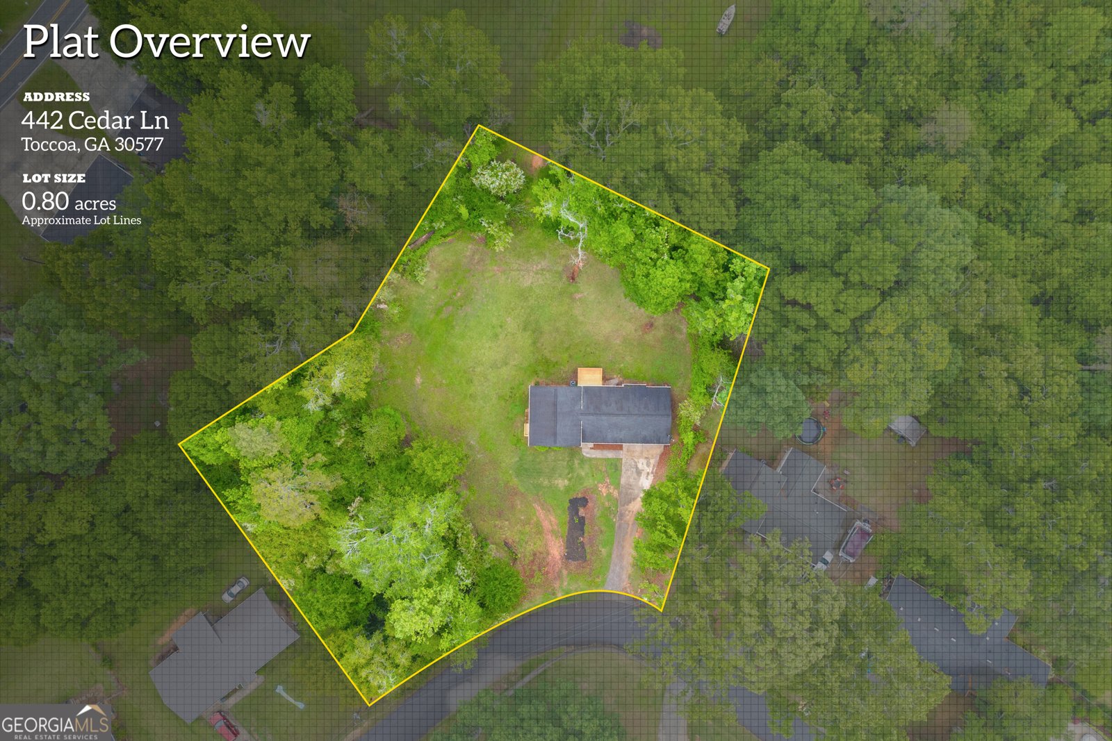442 442 Cedar Lane Toccoa - 40