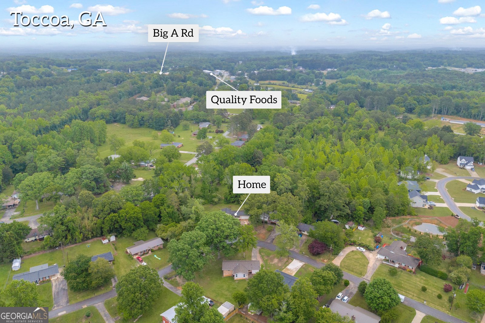 442 442 Cedar Lane Toccoa - 44