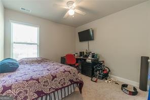7162 Fringe Flower Drive Austell - 20