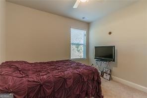 7162 Fringe Flower Drive Austell - 23