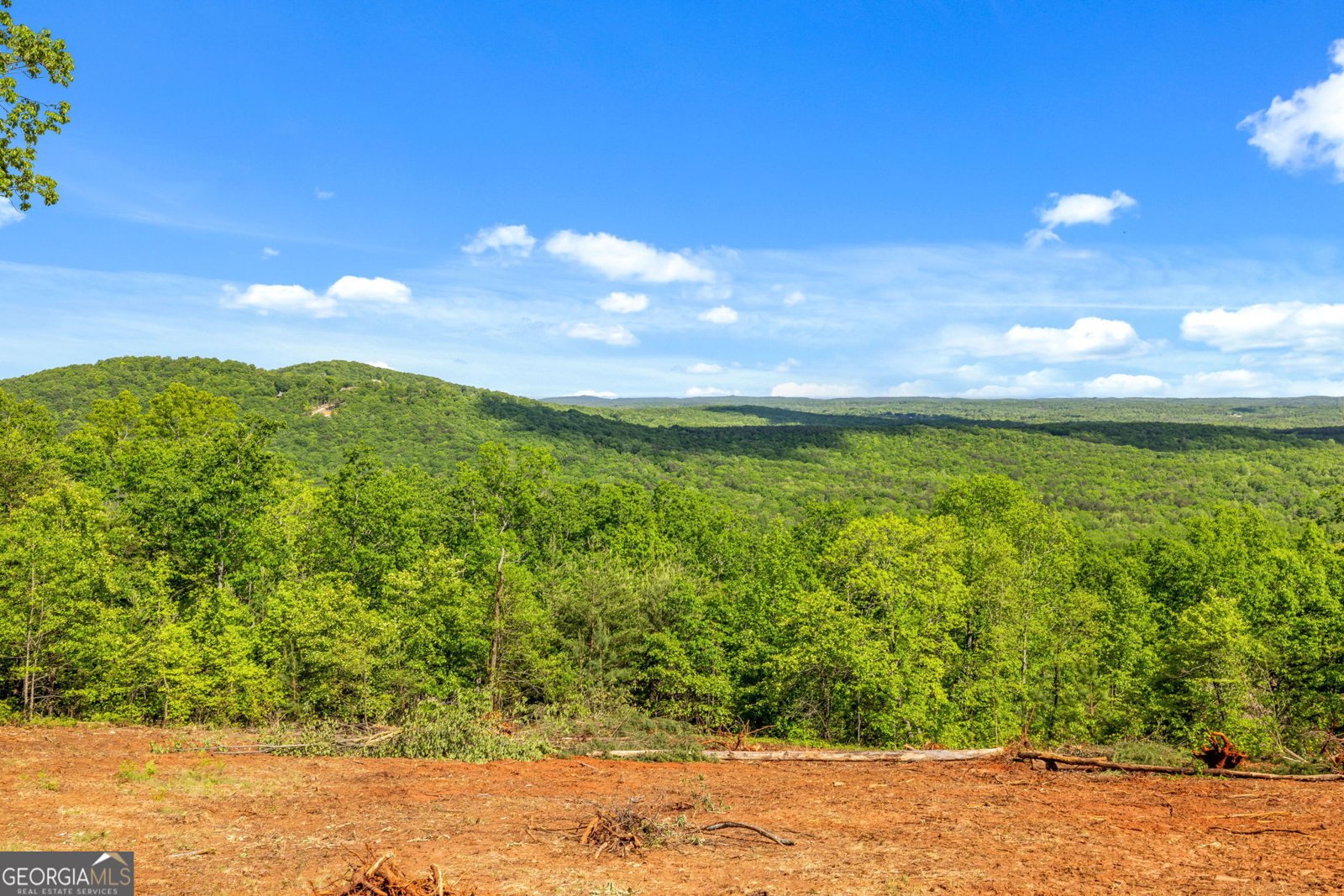 135 Mountain Ridge Drive Clarkesville - 41