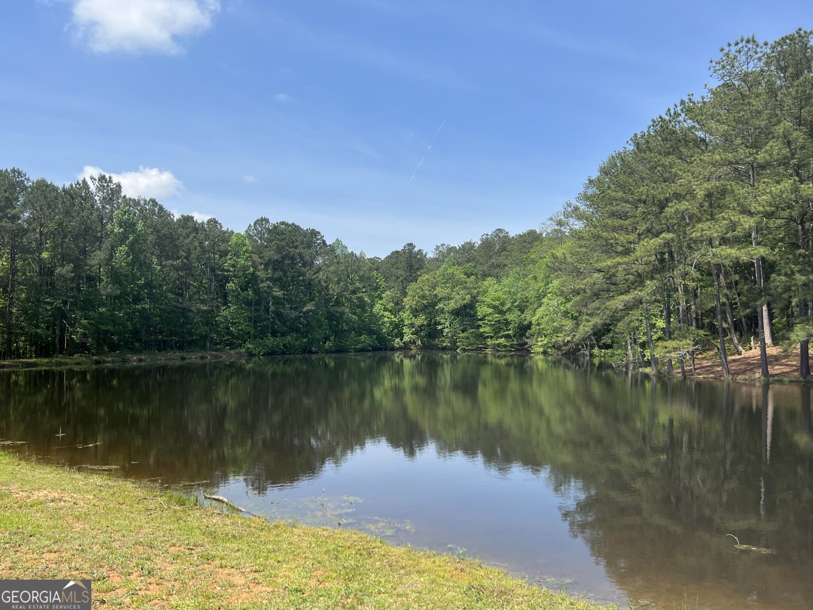 2851 Highway 81 Hampton - 13
