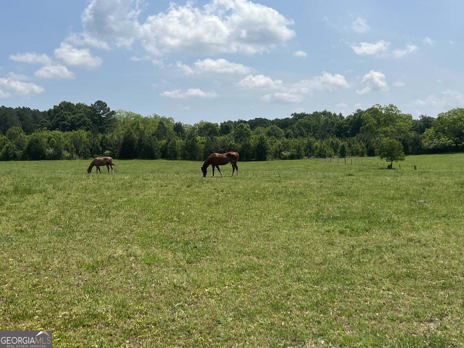 2851 Highway 81 Hampton - 21