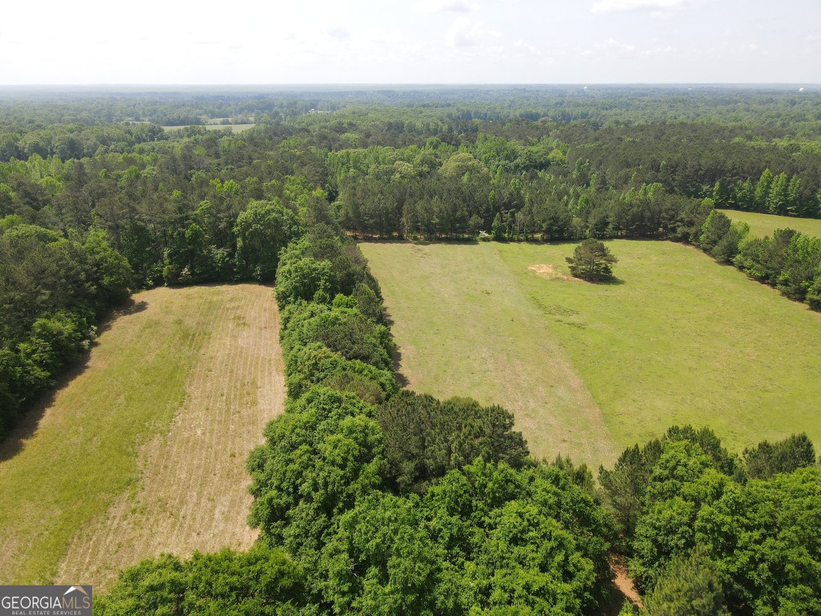 2851 Highway 81 Hampton - 6