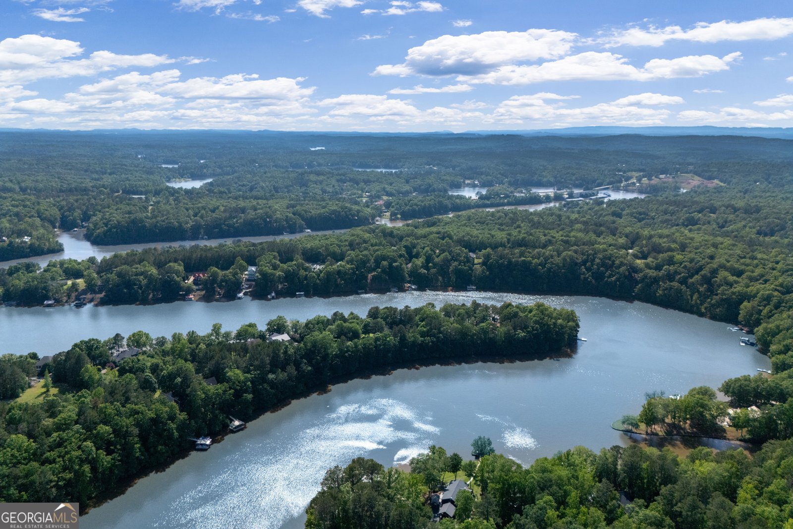561 Peninsula Drive Wedowee - 29