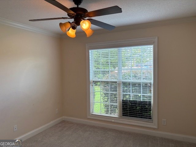 4035 Taylor Way Valdosta - 42