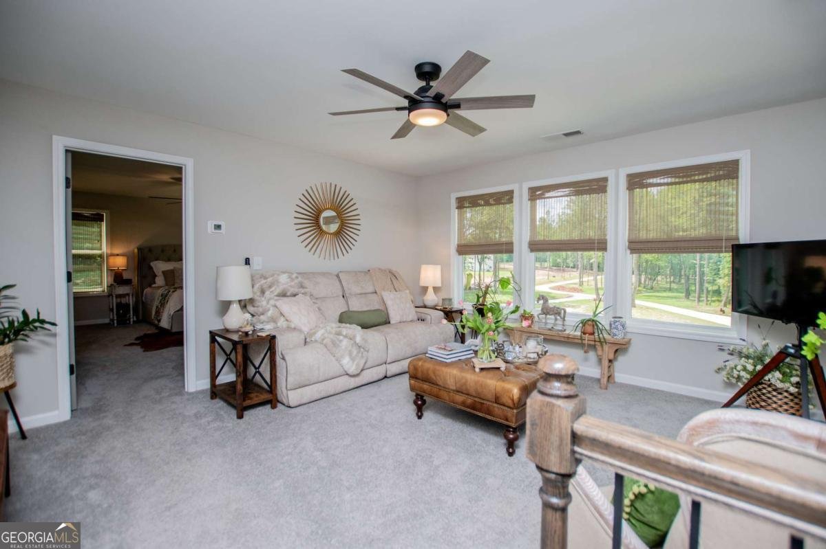 457 Paynes Lake Road Carrollton - 31