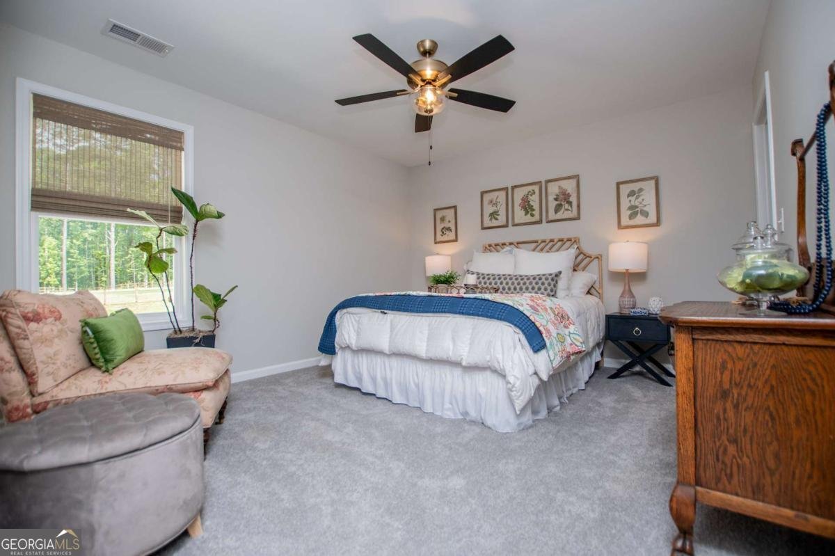 457 Paynes Lake Road Carrollton - 32