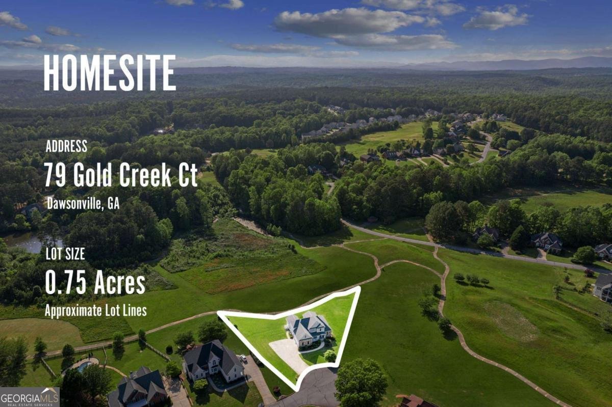 79 Gold Creek Court Dawsonville - 5