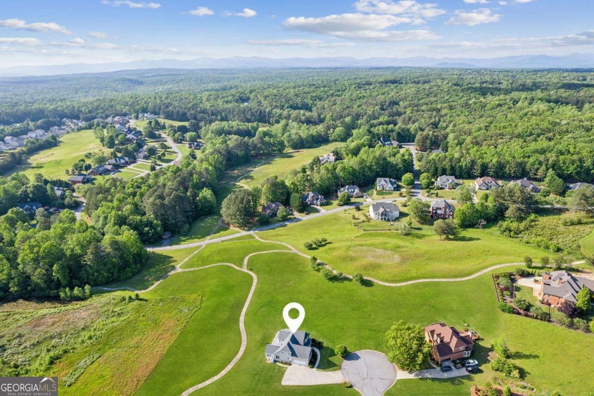 79 Gold Creek Court Dawsonville - 7