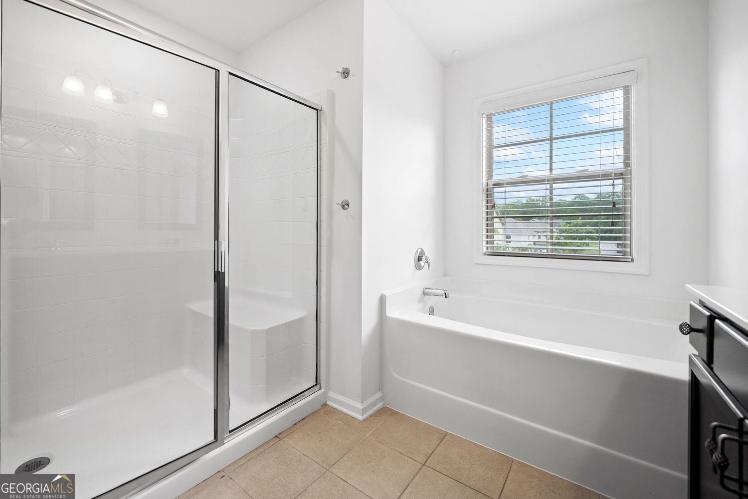 3805 Alden Place Cumming - 24