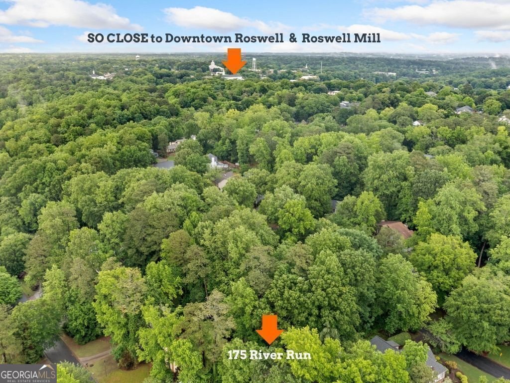 175 River Run Roswell - 3