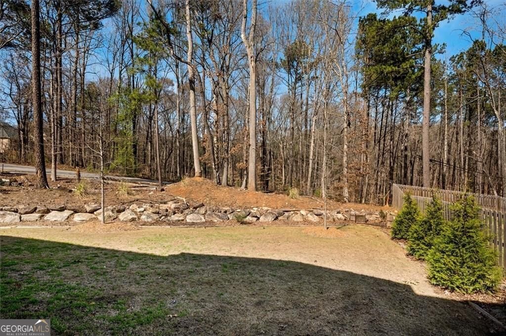 541 Glen Abbey Circle Mableton - 44