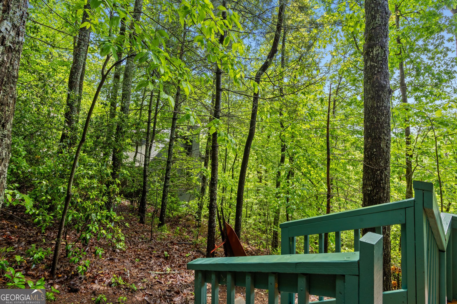 127 Berry Reister Road Blairsville - 15