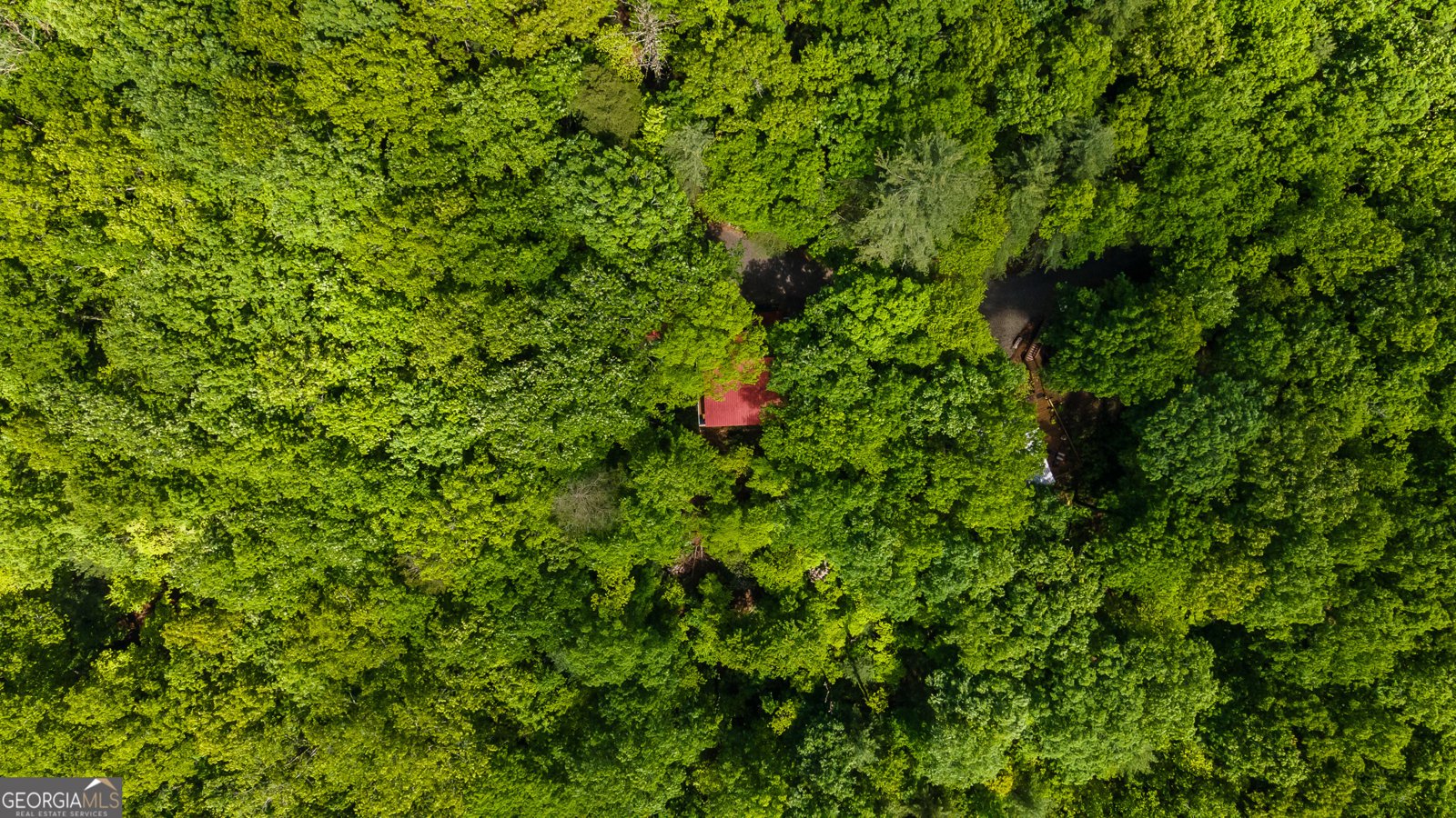 127 Berry Reister Road Blairsville - 34