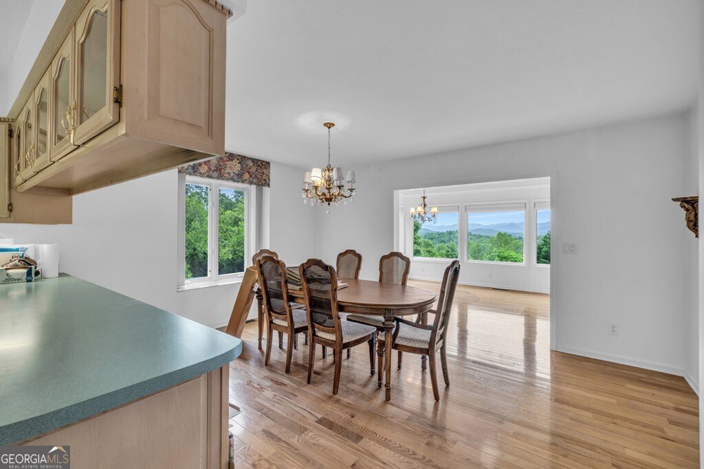 498 Old Dyer Road Hayesville - 17