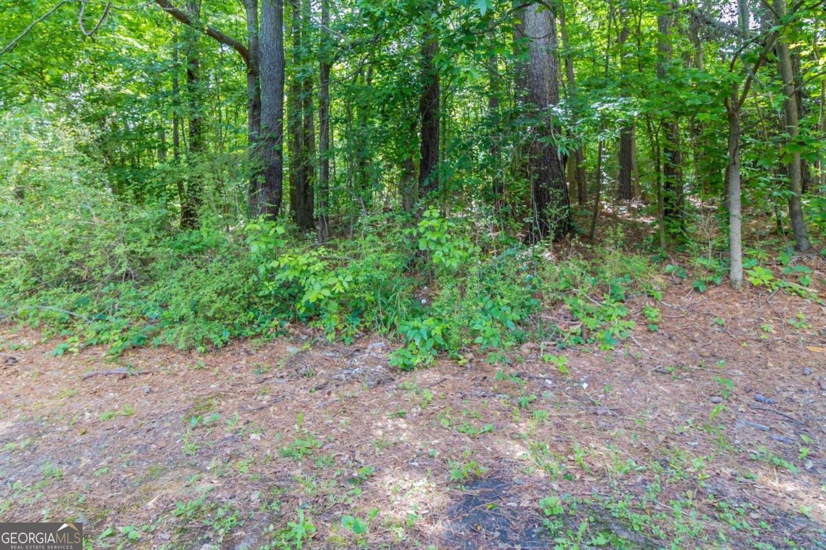 340 Onyx Court Atlanta - 22