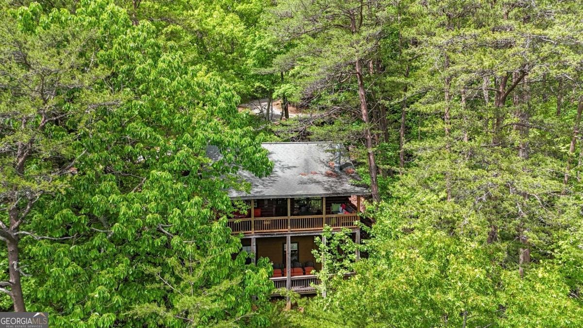 1157 Laurel Creek Road Blue Ridge - 49