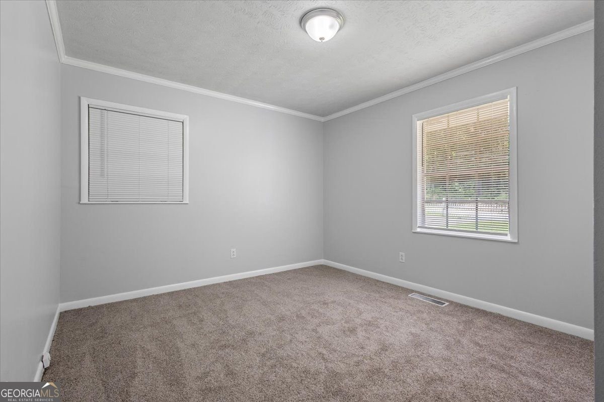 684 Hog Liver Road Carrollton - 24