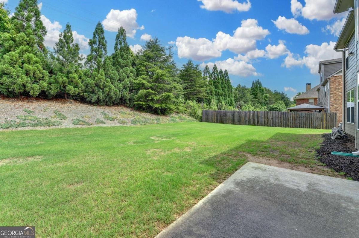 1370 Sunnys Halo Drive Suwanee - 45