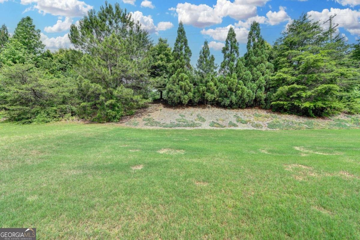 1370 Sunnys Halo Drive Suwanee - 46