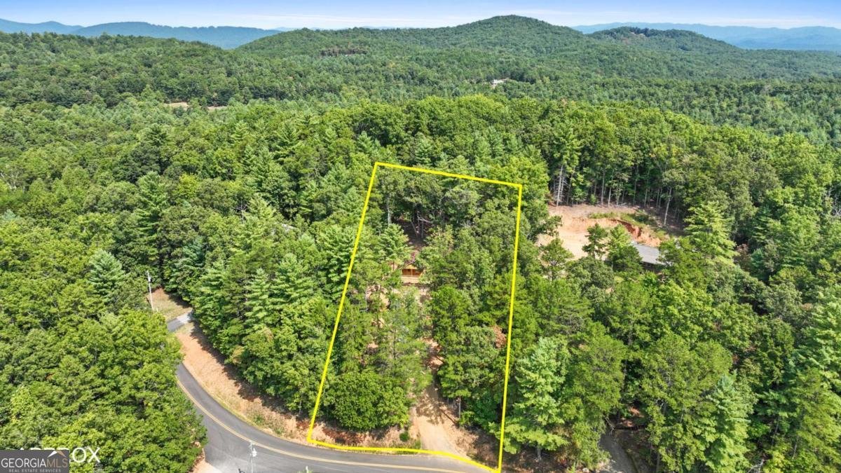786 Cook Henry Road Morganton - 9