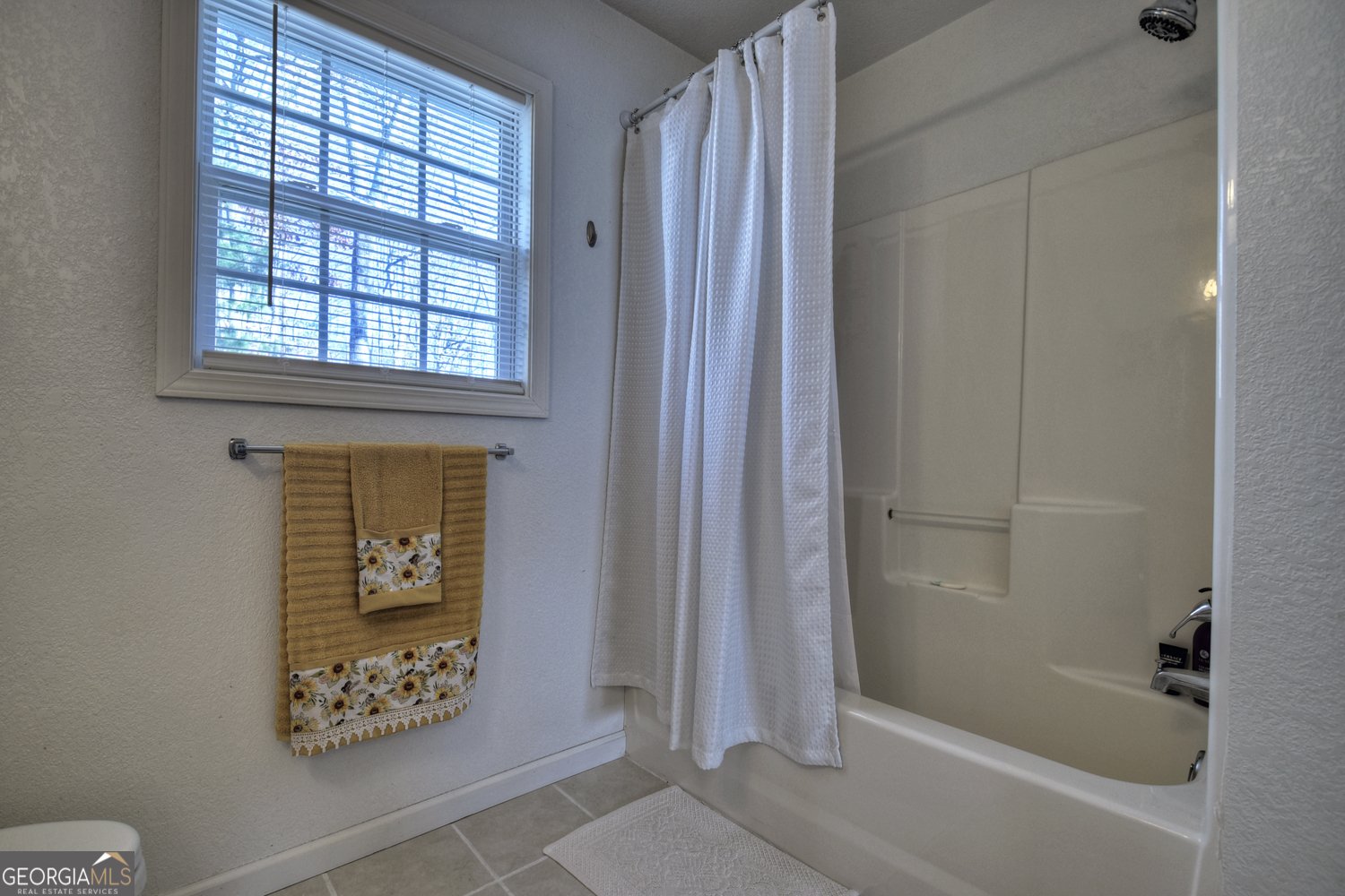 163 Teboe Drive Blairsville - 24
