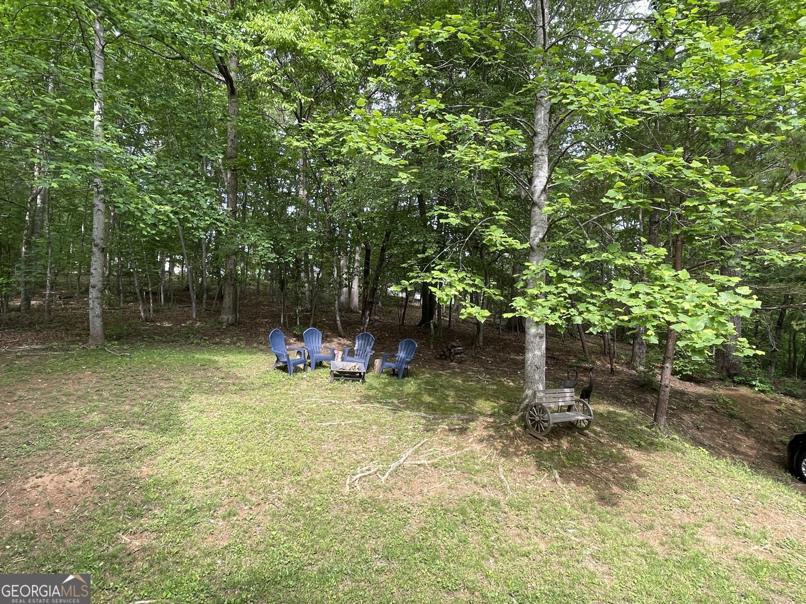 163 Teboe Drive Blairsville - 43