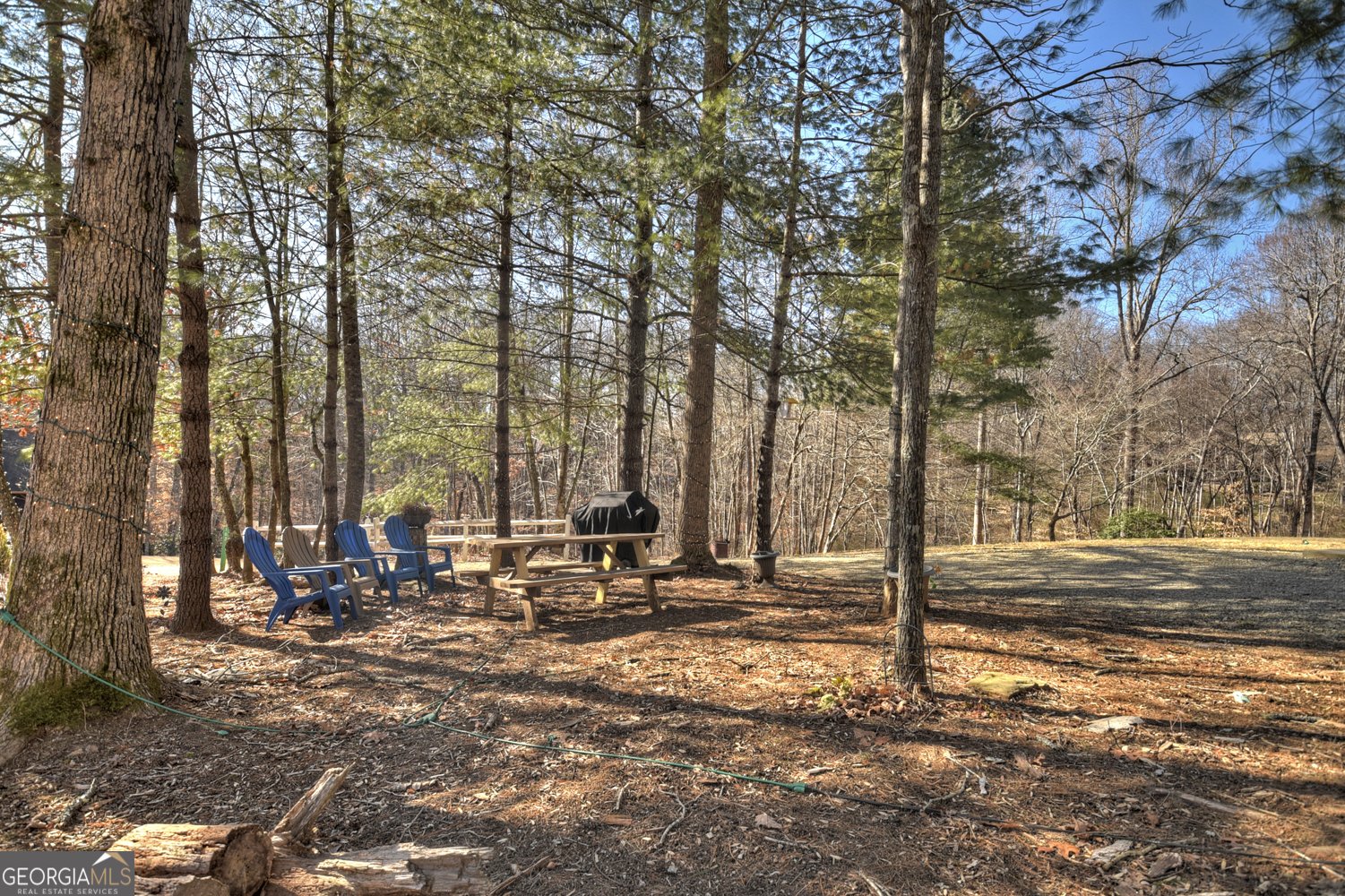 163 Teboe Drive Blairsville - 56