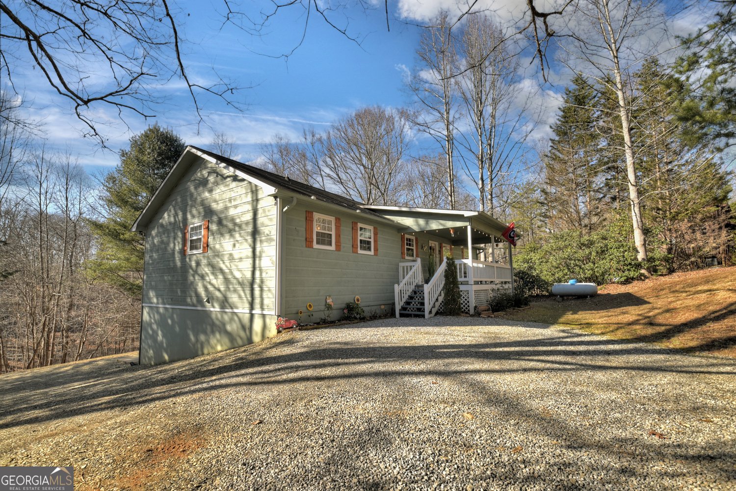 163 Teboe Drive Blairsville - 60