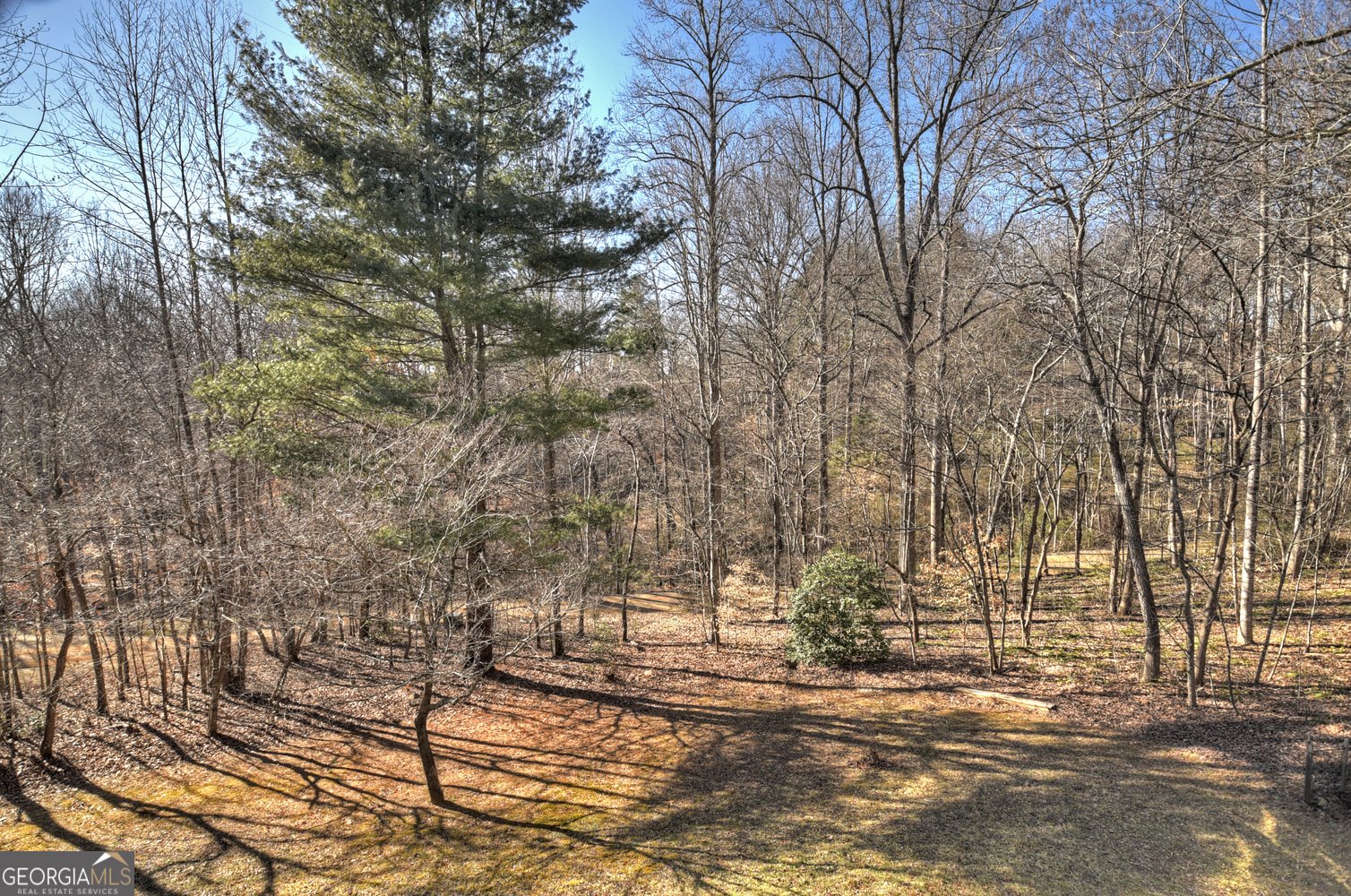 163 Teboe Drive Blairsville - 61