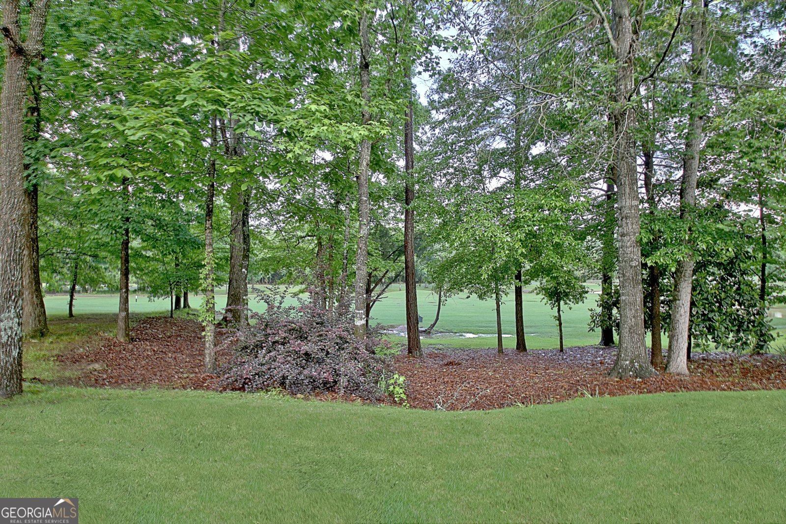44 Arbor Way Newnan - 78