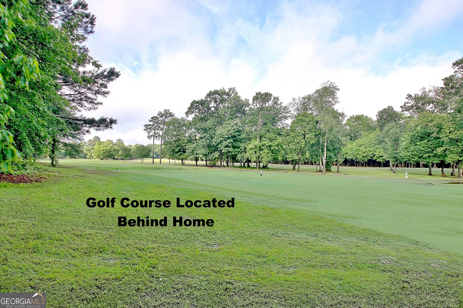 44 Arbor Way Newnan - 79