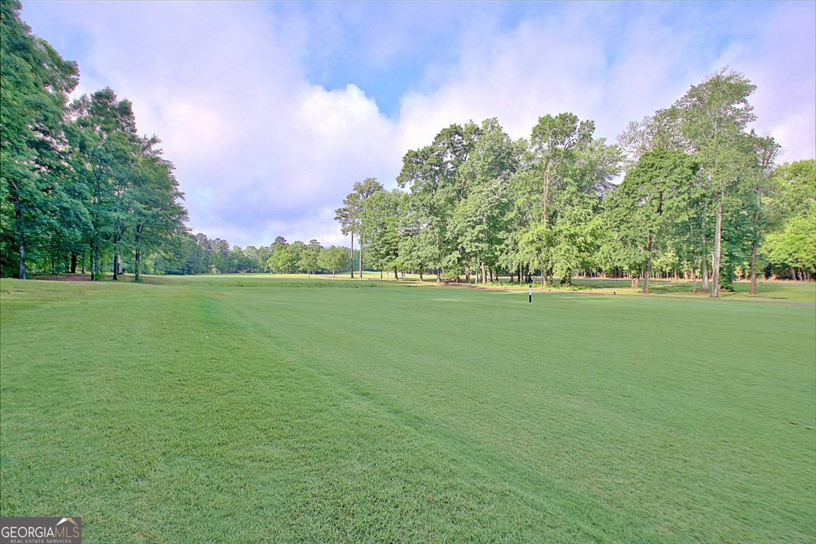 44 Arbor Way Newnan - 80
