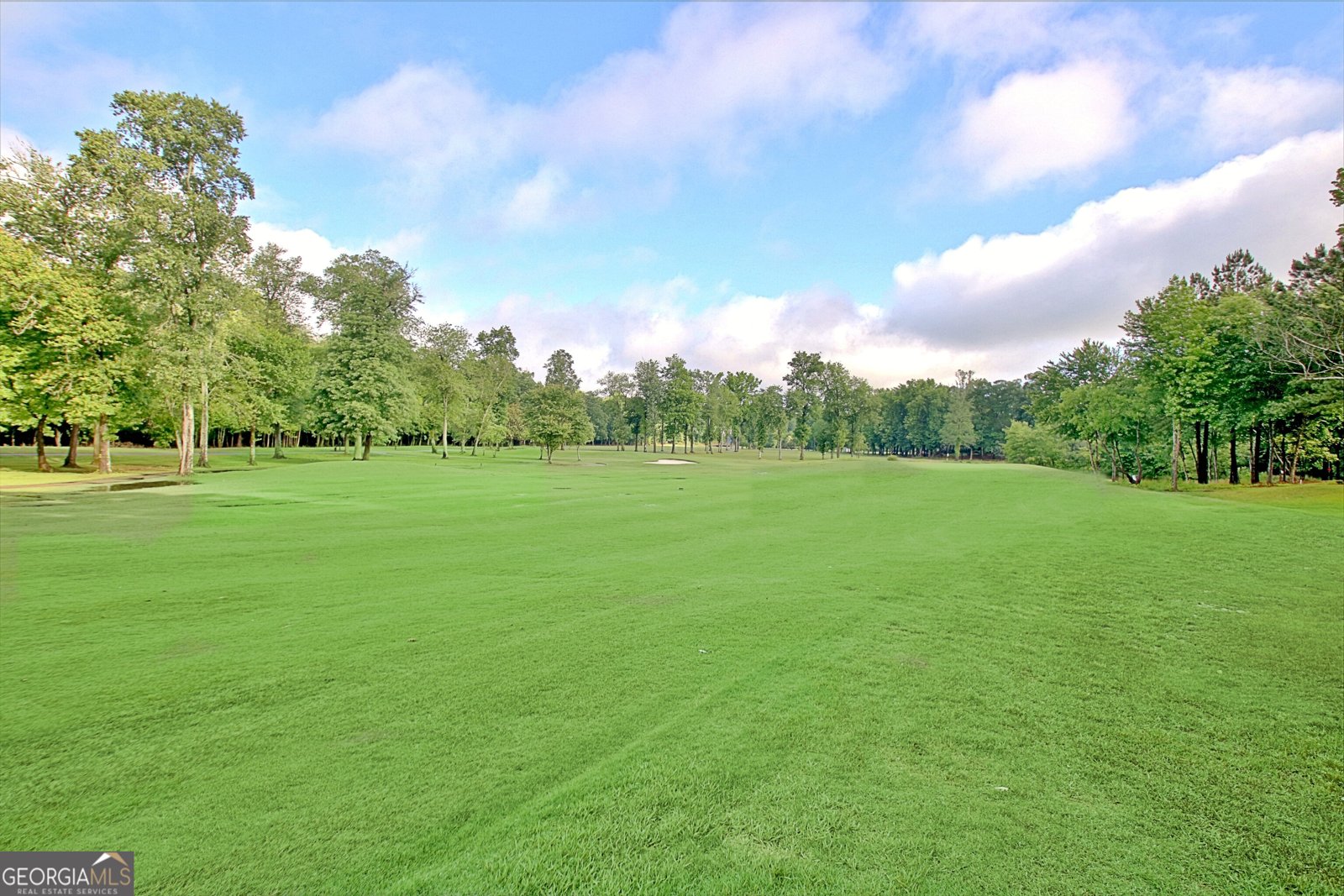 44 Arbor Way Newnan - 81
