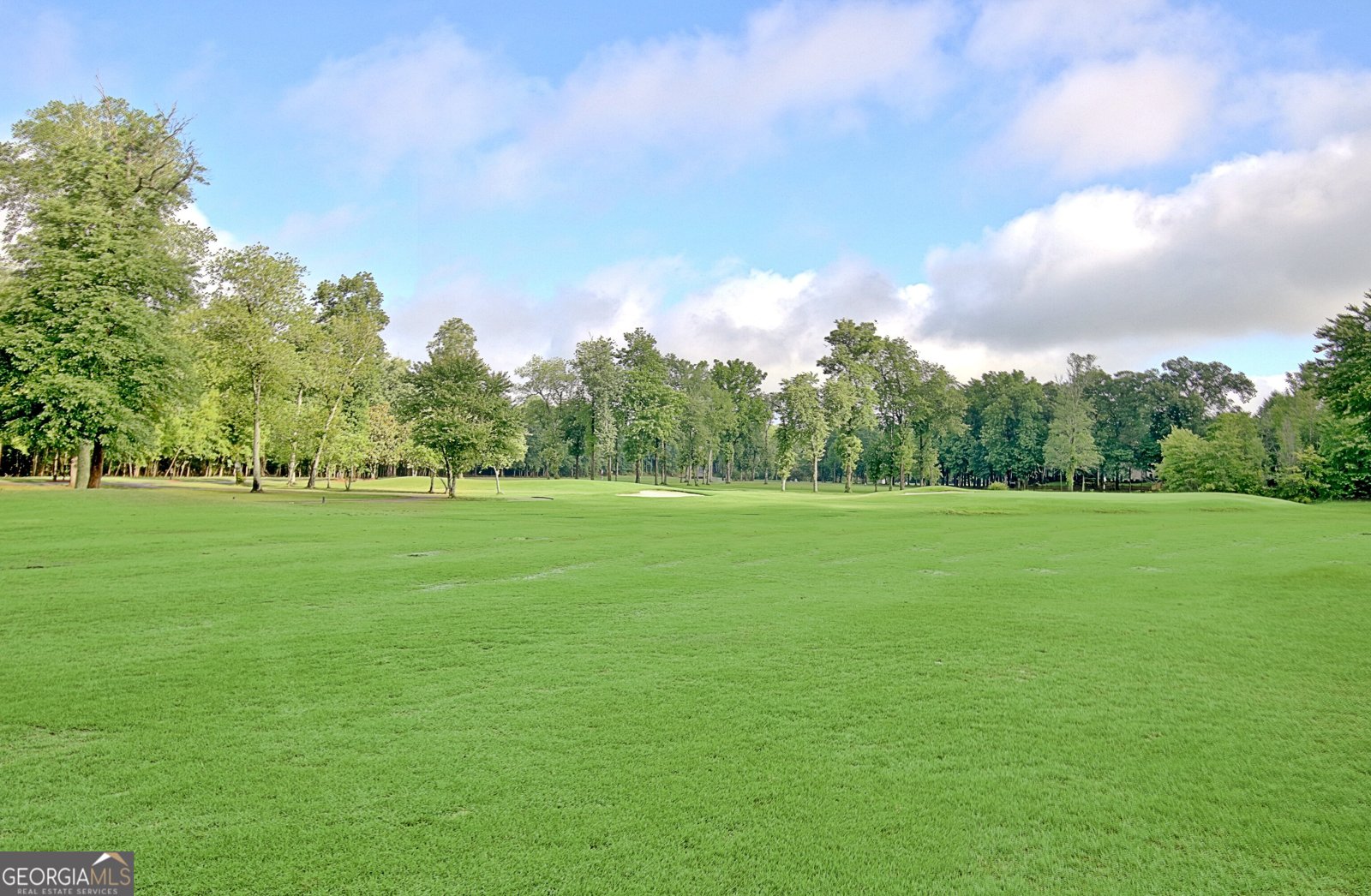 44 Arbor Way Newnan - 82