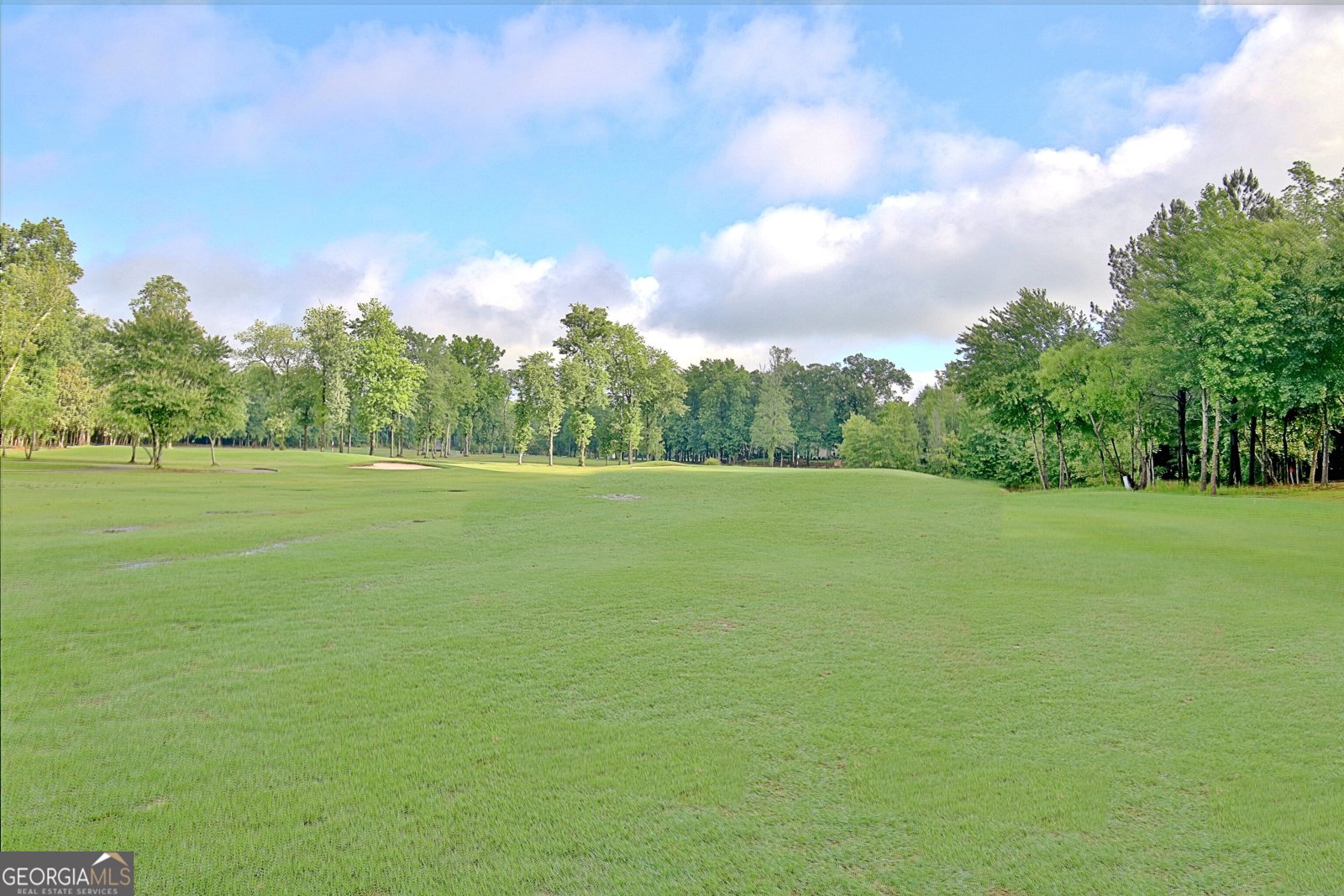 44 Arbor Way Newnan - 83