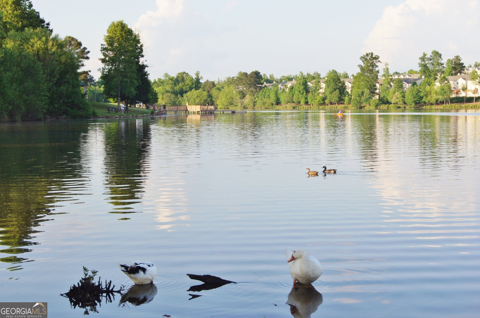 44 Arbor Way Newnan - 89