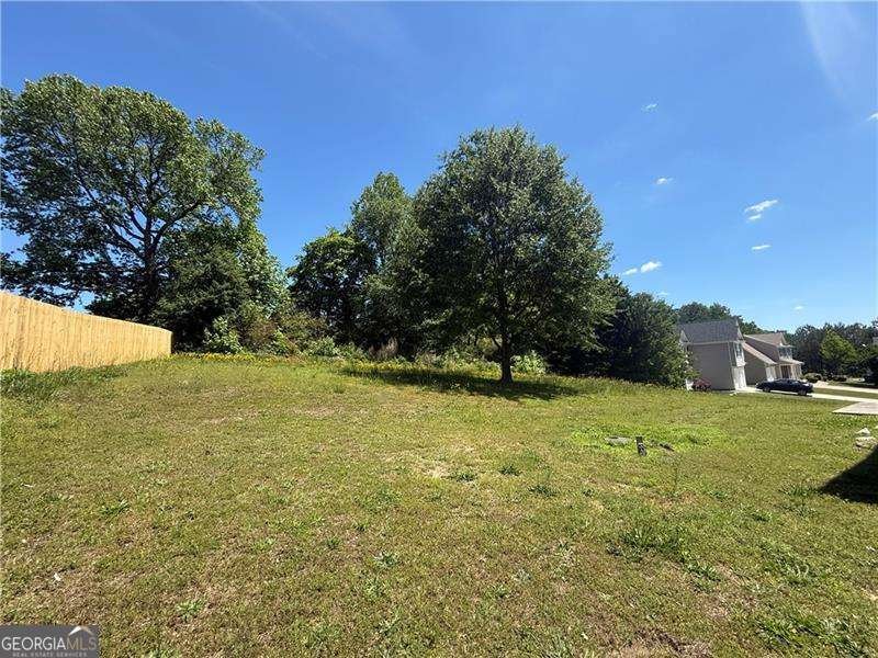 3836 Wexford Drive Douglasville - 12