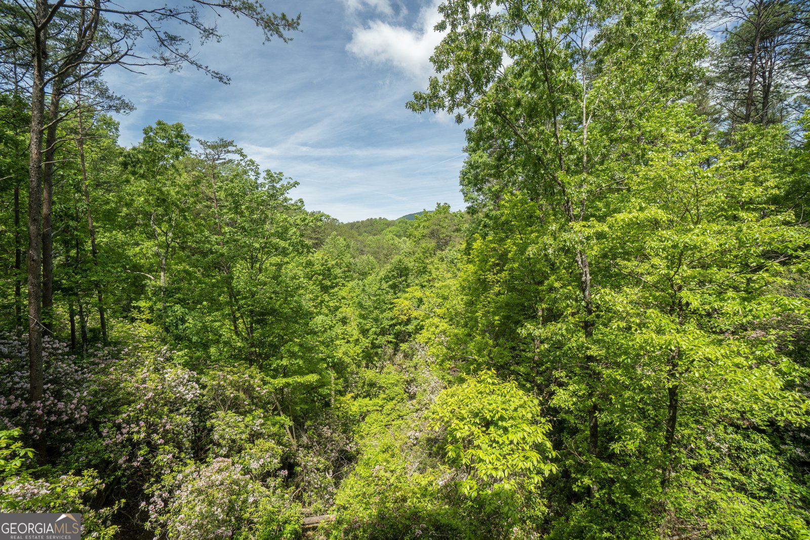 451 Pinecrest Road Sautee Nacoochee - 41