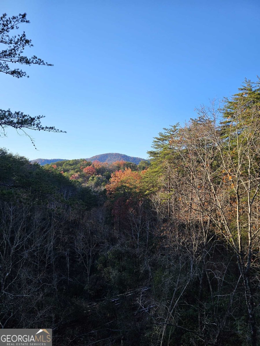 451 Pinecrest Road Sautee Nacoochee - 71