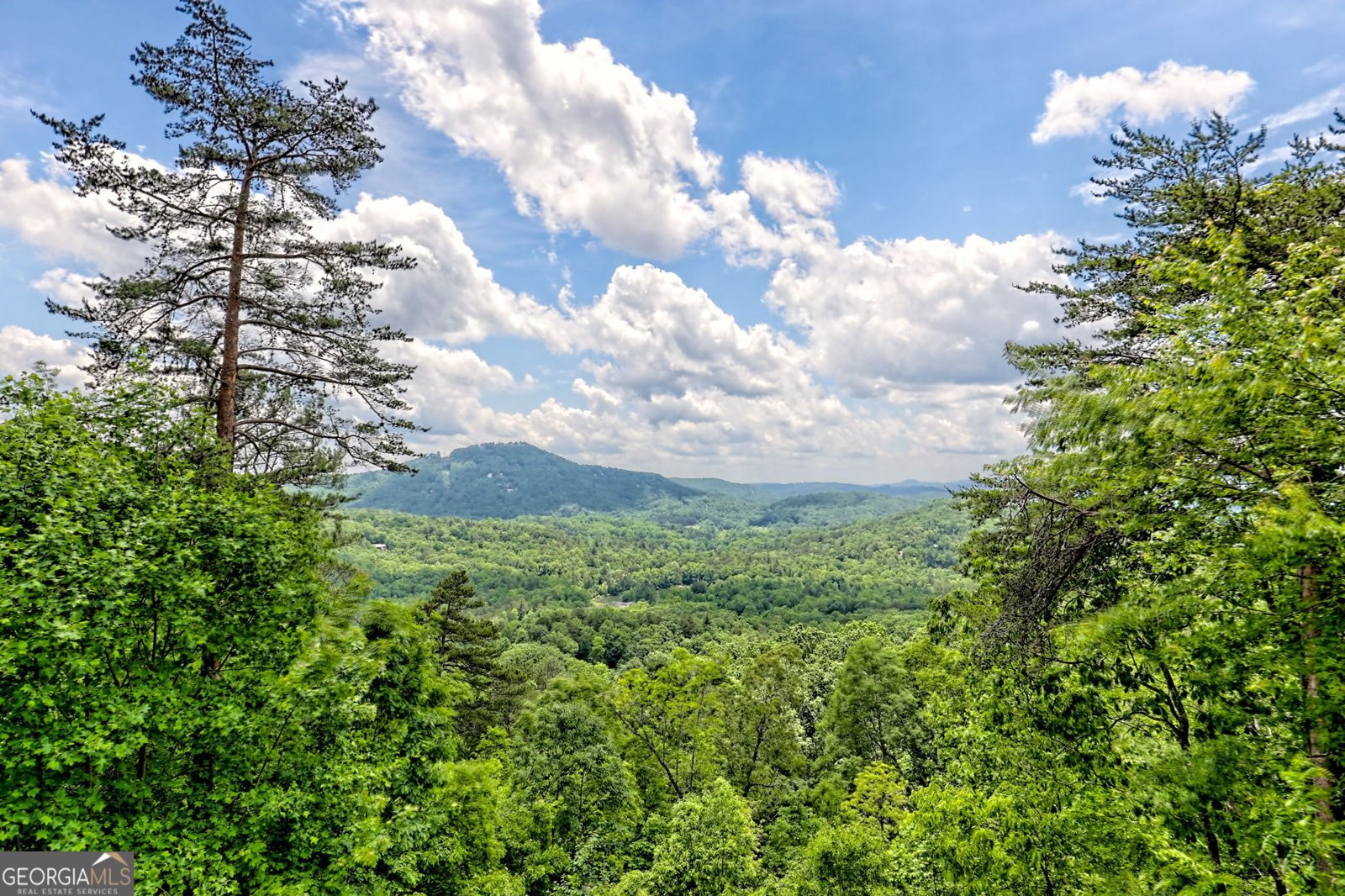 601 Black Bear Den Road Clayton - 24